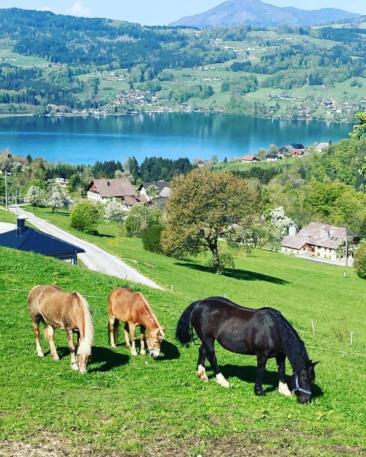 Villa Feichtingerhof à Steinbach am Attersee Extérieur photo