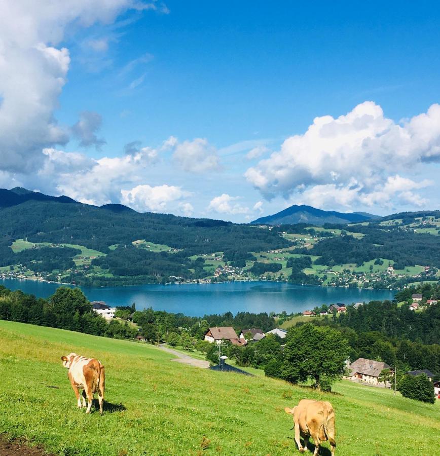 Villa Feichtingerhof à Steinbach am Attersee Extérieur photo